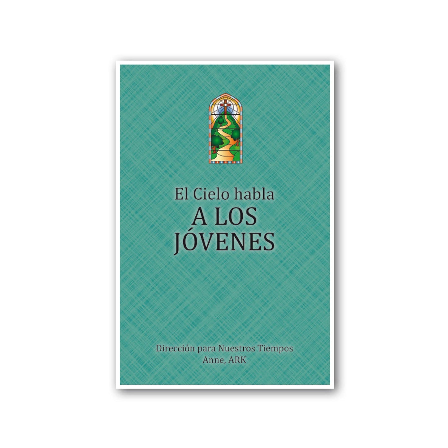 Español El Cielo habla los jóvenes (Heaven Speaks To Young Adults - Spanish)